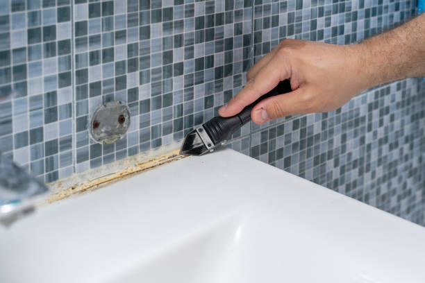 Best Toxic Mold Removal  in Dunkirk, IN
